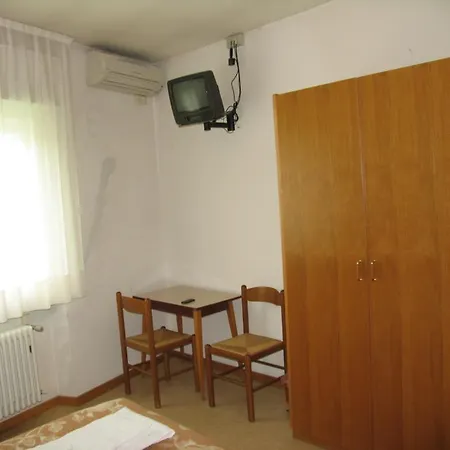 Oasi *