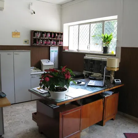 Oasi *
